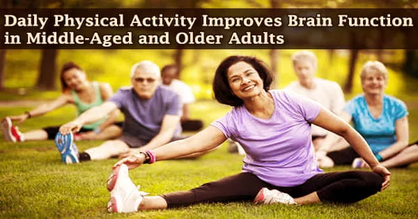Daily Physical Activity Improves Brain Function in Middle-Aged and Older Adults