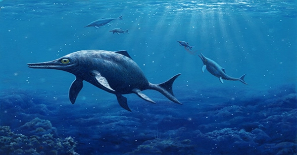 Giant Sea Dragon Ichthyosaur Is One of UK’s Greatest Fossil Finds