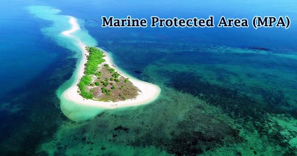 Marine Protected Area (MPA)
