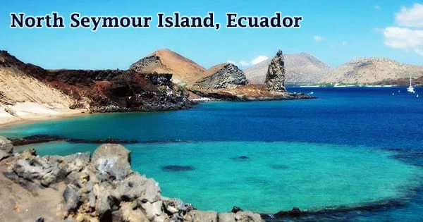 North Seymour Island, Ecuador