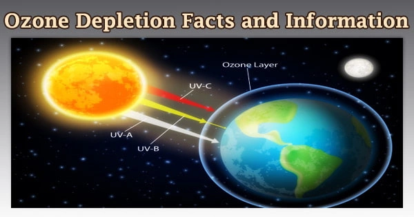 Ozone Depletion Facts and Information