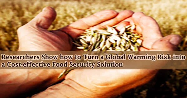 Researchers Show how to Turn a Global Warming Risk into a Cost-effective Food Security Solution