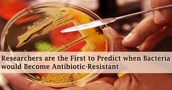 Researchers are the First to Predict when Bacteria would Become Antibiotic-Resistant
