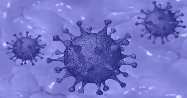 Researchers discovered how Zika Virus avoids the Antiviral Response of Cells