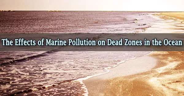The Effects of Marine Pollution on Dead Zones in the Ocean