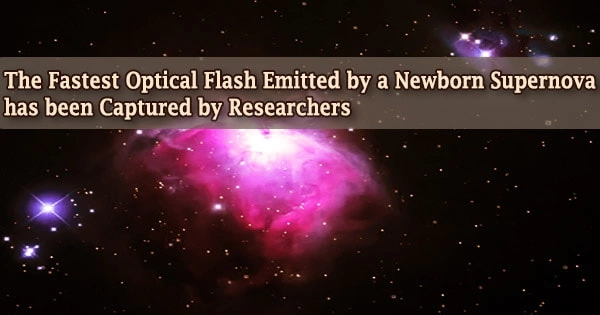 The Fastest Optical Flash Emitted by a Newborn Supernova has been Captured by Researchers