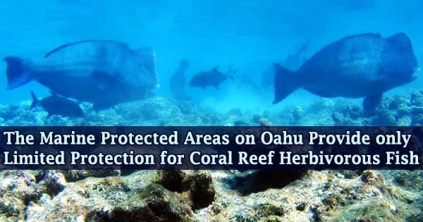The Marine Protected Areas on Oahu Provide only Limited Protection for Coral Reef Herbivorous Fish