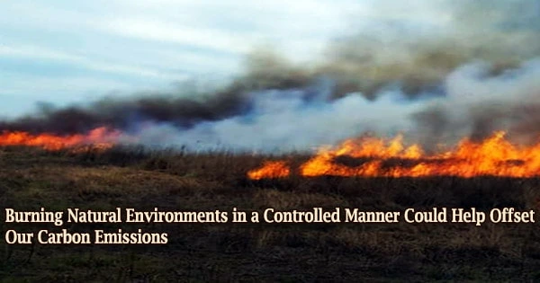 Burning Natural Environments in a Controlled Manner Could Help Offset Our Carbon Emissions