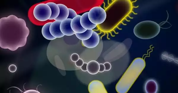 Engineered Bacteria that Can Detect Specific Molecules in the Gut