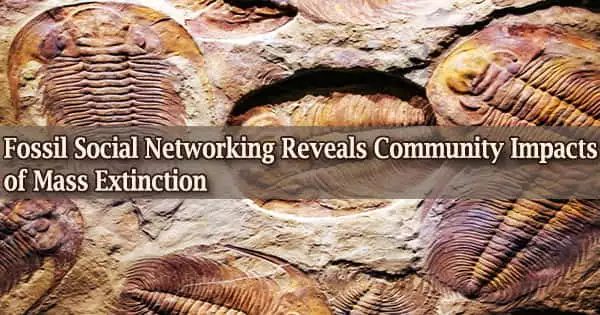 Fossil Social Networking Reveals Community Impacts of Mass Extinction