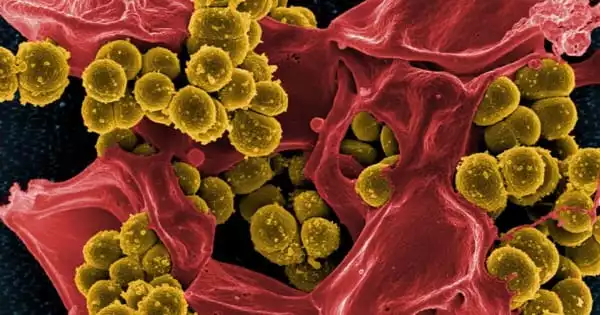 Mirror Images are used by Superbugs to Build Antibiotic Resistance