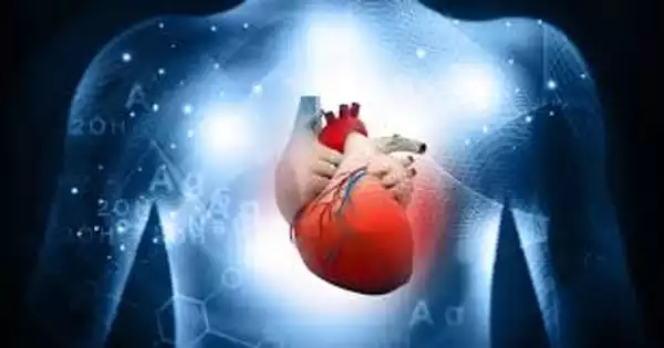 New Drugs for the Treatment of Heart Patients