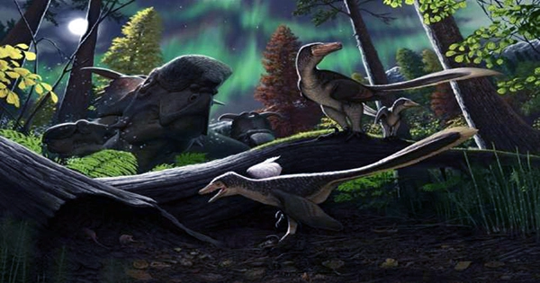 Newly Discovered Dinosaur Sheds Light on Evolution of Mysterious Giant Spinosaurs