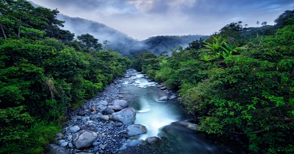 Pristine Rainforest Found To Contain Highest Levels of Atmospheric Mercury Poisoning On Earth