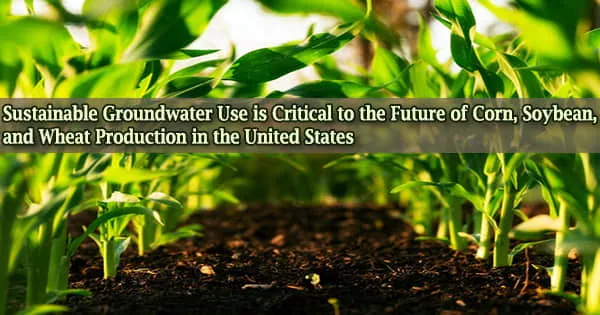 Sustainable Groundwater Use is Critical to the Future of Corn, Soybean, and Wheat Production in the United States