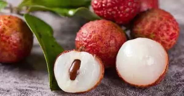 The Genome of Lychee tells a Vivid Story about a Vibrant Tropical Fruit