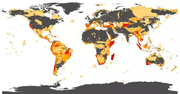 The Location and Severity of Global Biodiversity Threats