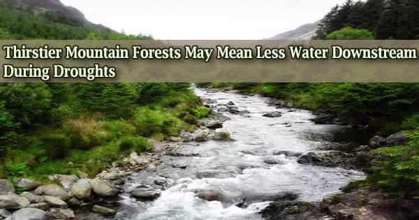 Thirstier Mountain Forests May Mean Less Water Downstream During Droughts