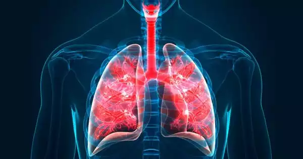 A New Type of Cell in Human Lung has Regeneration Abilities
