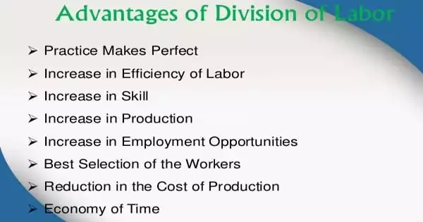 Advantages of Division of Labor