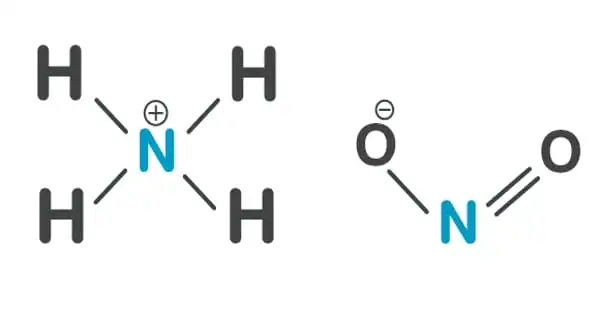 Ammonium Nitrite – an Ammonium Salt of Nitrous Acid