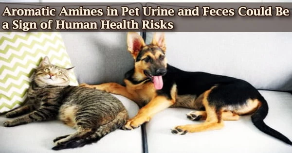 Aromatic Amines in Pet Urine and Feces Could Be a Sign of Human Health Risks