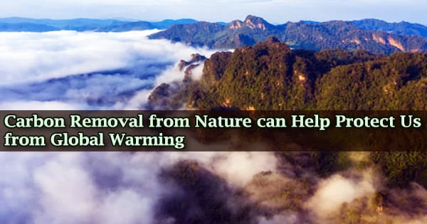 Carbon Removal from Nature can Help Protect Us from Global Warming