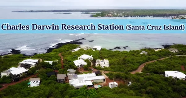 Charles Darwin Research Station (Santa Cruz Island)