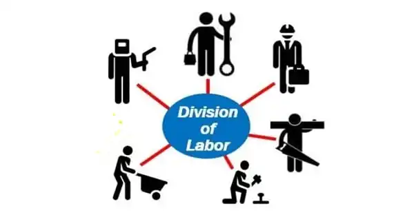 Essential Conditions of Division of Labor