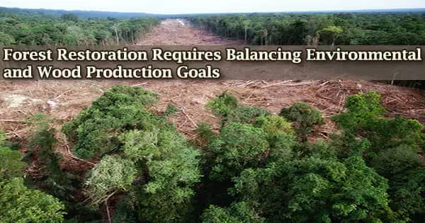 Forest Restoration Requires Balancing Environmental and Wood Production Goals