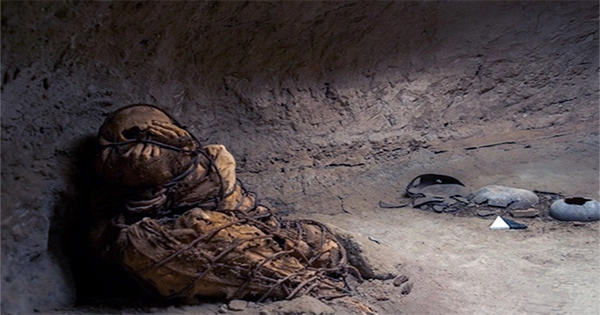 Lost Excavation Photos Reveal 8,000-Year-Old Mummified Remains… From Europe