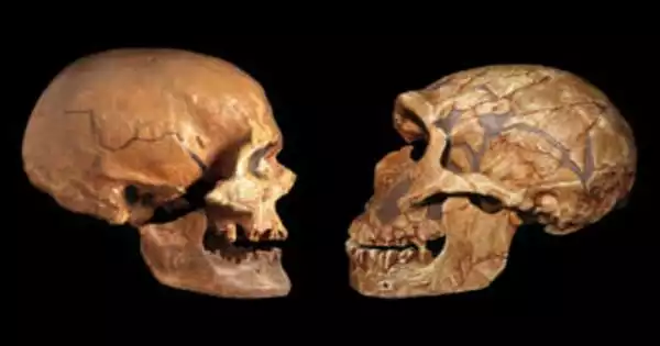 Oldest Human DNA from Africa sheds light on Ancient Population Change