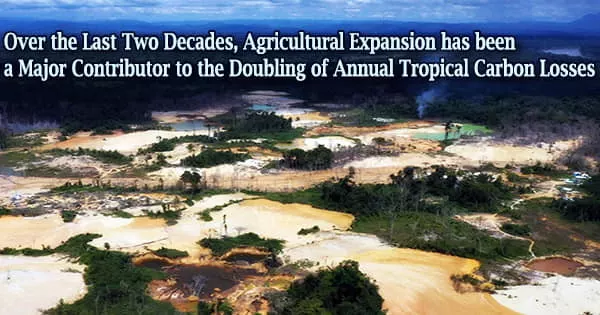 Over the Last Two Decades, Agricultural Expansion has been a Major Contributor to the Doubling of Annual Tropical Carbon Losses