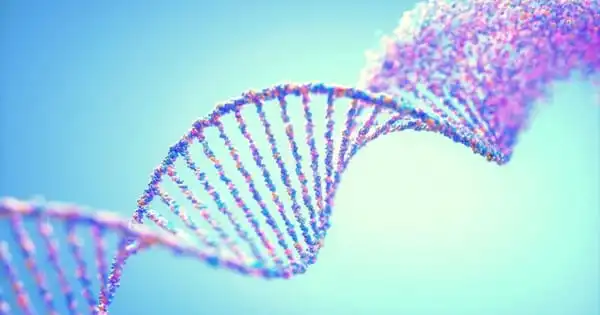 Researchers Finally Deciphered a Complete Human Genome