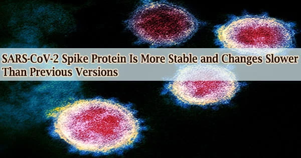 SARS-CoV-2 Spike Protein Is More Stable and Changes Slower Than Previous Versions