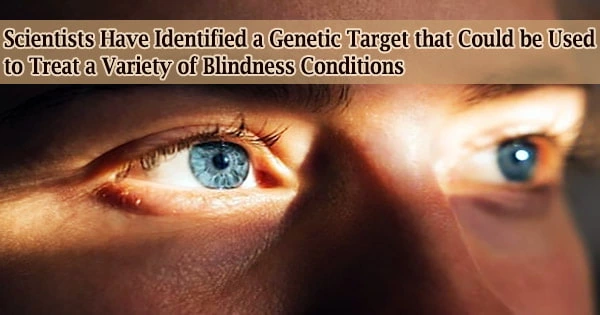 Scientists Have Identified a Genetic Target that Could be Used to Treat a Variety of Blindness Conditions