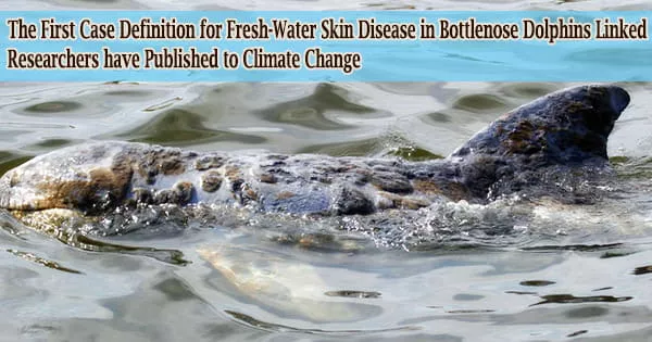 The First Case Definition for Fresh-Water Skin Disease in Bottlenose Dolphins Linked Researchers have Published to Climate Change