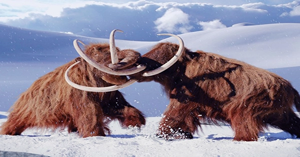 The Metaverse Now Has Scientifically Accurate Mammoths