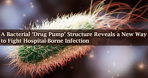 A Bacterial ‘Drug Pump’ Structure Reveals a New Way to Fight Hospital-Borne Infection