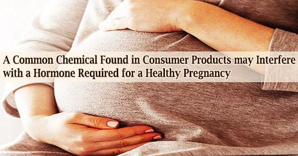 A Common Chemical Found in Consumer Products may Interfere with a Hormone Required for a Healthy Pregnancy