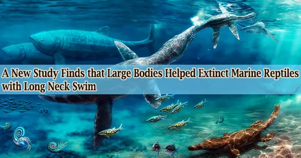 A New Study Finds that Large Bodies Helped Extinct Marine Reptiles with Long Neck Swim
