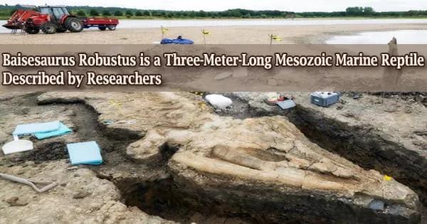 Baisesaurus Robustus is a Three-Meter-Long Mesozoic Marine Reptile Described by Researchers