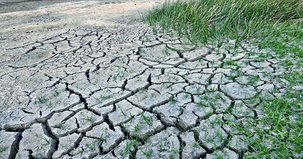 Flash Droughts Are Becoming More Severe, Posing New Climate Threat