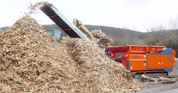 Fuel Derived from Discarded Wood