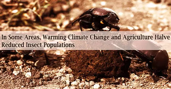 In Some Areas, Warming Climate Change and Agriculture Halve Reduced Insect Populations