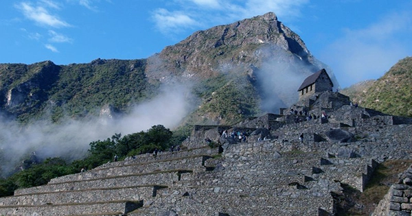 Inca Child Sacrifice Victims Drank Anti-Depressant Ayahuasca before Death