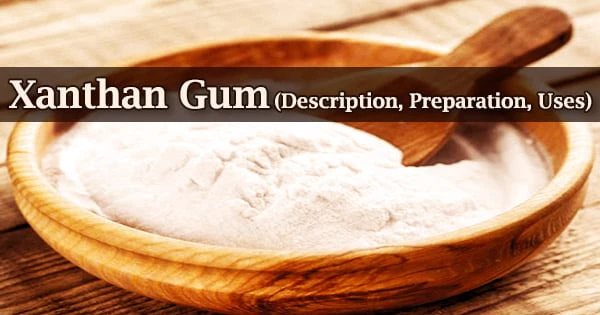 Xanthan Gum (Description, Preparation, Uses)