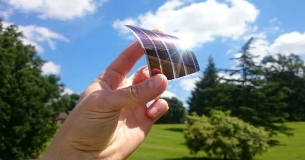 A New Perspective on Organic Solar Cells