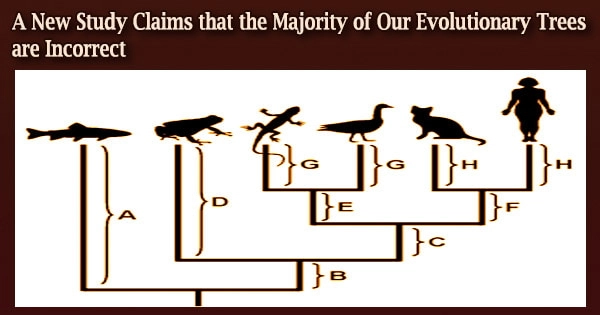 A New Study Claims that the Majority of Our Evolutionary Trees are Incorrect