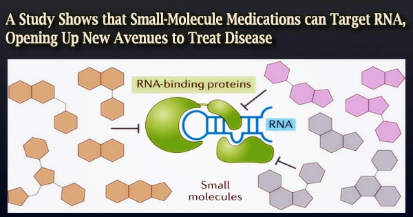 A Study Shows that Small-Molecule Medications can Target RNA, Opening Up New Avenues to Treat Disease